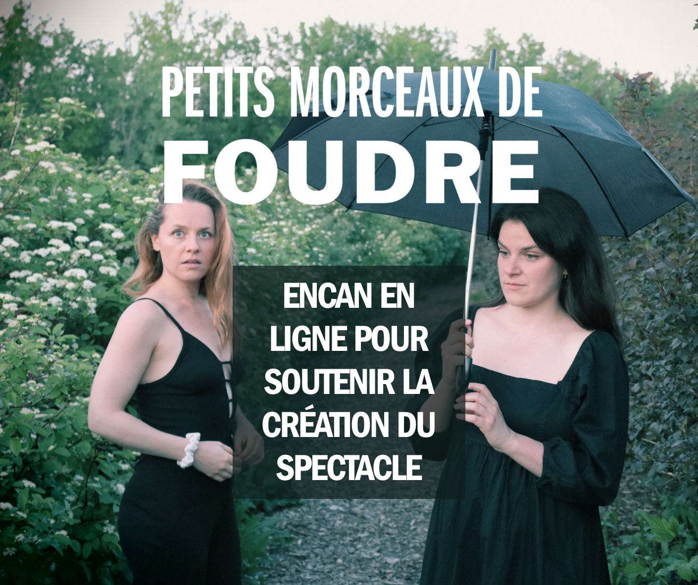 Encan en ligne